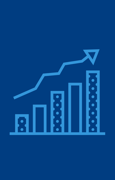 Increase Online Sales Executing Revenue Opportunities